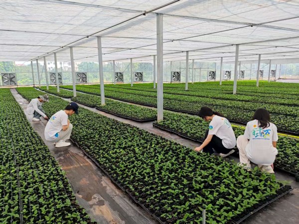 广东科技学院走进电白林头解码供销助农