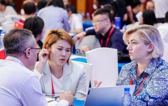 海外客商中国“追风光” 兰洽会“扫货”新能源